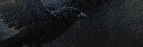 Hollow Boy, Golden Girl